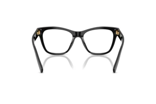 Rear view Dolce & Gabbana DG3430 (501)