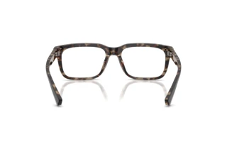 Rear view Dolce & Gabbana DG3432 (3417)