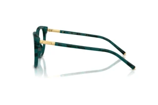 Side view Dolce & Gabbana DG3433 (3460)