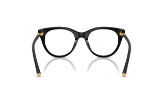 Rear view Dolce & Gabbana DG3433 (501)