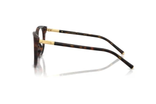 Side view Dolce & Gabbana DG3433 (502)