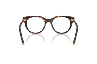Rear view Dolce & Gabbana DG3433 (502)