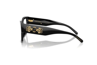 Side view Dolce & Gabbana DG3435B (501)