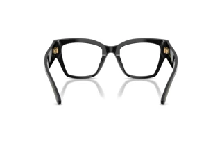 Rear view Dolce & Gabbana DG3435B (501)