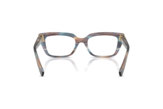 Rear view Dolce & Gabbana DG3436 (3448)
