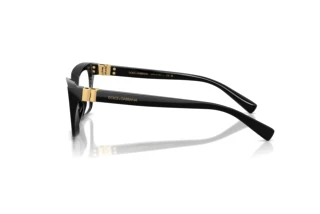 Side view Dolce & Gabbana DG3436 (501)