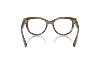 Rear view Dolce & Gabbana DG3437 (3447)