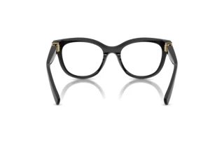 Rear view Dolce & Gabbana DG3437 (501)