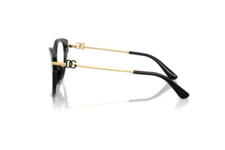 Side view Dolce & Gabbana DG3438 (501)
