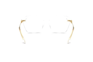 Rear view Dolce & Gabbana DG3439 (3133)