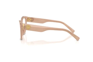 Side view Dolce & Gabbana DG3440 (3042)
