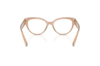 Rear view Dolce & Gabbana DG3440 (3042)