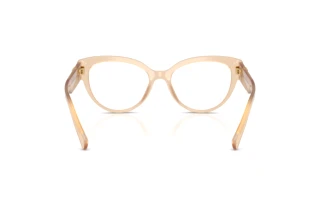 Rear view Dolce & Gabbana DG3440 (3089)