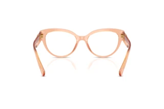 Rear view Dolce & Gabbana DG3440 (3226)