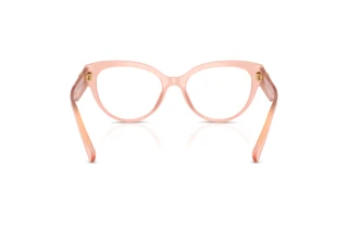 Rear view Dolce & Gabbana DG3440 (3384)
