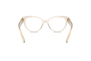 Rear view Dolce & Gabbana DG3440 (3420)