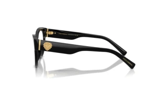 Side view Dolce & Gabbana DG3440 (501)
