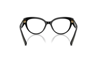 Rear view Dolce & Gabbana DG3440 (501)