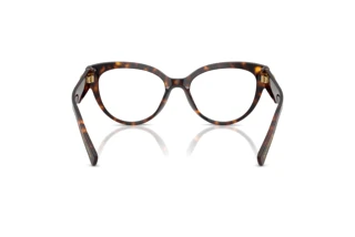 Rear view Dolce & Gabbana DG3440 (502)