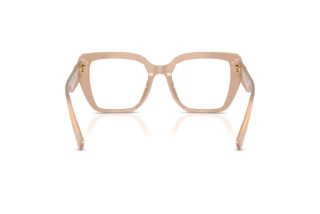 Rear view Dolce & Gabbana DG3441 (3042)