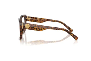 Side view Dolce & Gabbana DG3441 (3470)