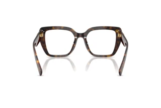 Rear view Dolce & Gabbana DG3441 (502)