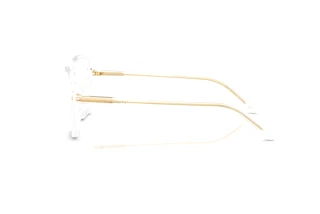 Side view Dolce & Gabbana DG3442 (3133)