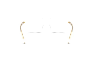 Rear view Dolce & Gabbana DG3442 (3133)