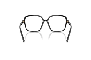 Rear view Dolce & Gabbana DG3442 (501)