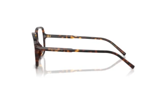 Side view Dolce & Gabbana DG3442 (502)