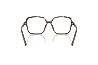 Rear view Dolce & Gabbana DG3442 (502)