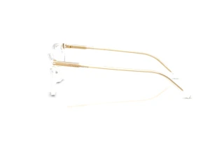 Side view Dolce & Gabbana DG3443 (3133)