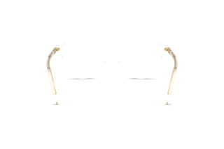 Rear view Dolce & Gabbana DG3443 (3133)