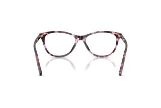 Rear view Dolce & Gabbana DG3443 (3477)