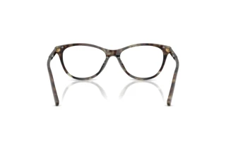 Rear view Dolce & Gabbana DG3443 (3478)