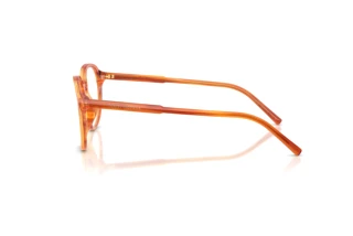 Side view Dolce & Gabbana DG3444 (3483)