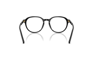 Rear view Dolce & Gabbana DG3444 (501)