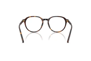 Rear view Dolce & Gabbana DG3444 (502)