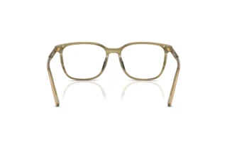 Rear view Dolce & Gabbana DG3445 (3480)