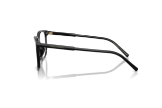 Side view Dolce & Gabbana DG3445 (501)