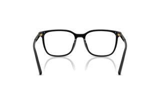Rear view Dolce & Gabbana DG3445 (501)