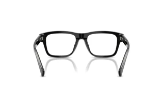 Rear view Dolce & Gabbana DG3446 (501)