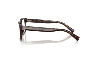 Side view Dolce & Gabbana DG3446 (502)
