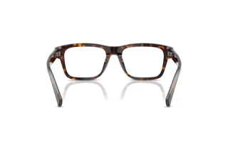 Rear view Dolce & Gabbana DG3446 (502)