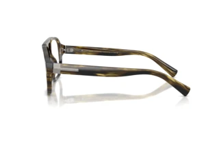 Side view Dolce & Gabbana DG3447 (3066)