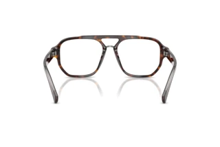 Rear view Dolce & Gabbana DG3447 (502)