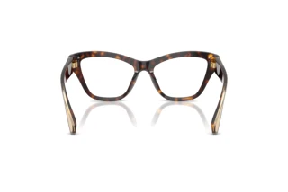 Rear view Dolce & Gabbana DG3448 (502)
