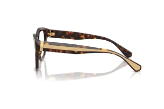 Side view Dolce & Gabbana DG3449 (502)