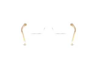 Rear view Dolce & Gabbana DG3450 (3133)