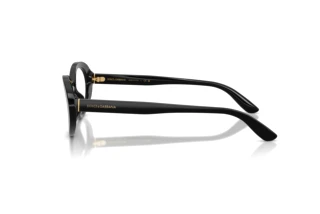 Side view Dolce & Gabbana DG3450 (501)